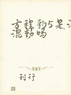 方程豹5是油电混动吗