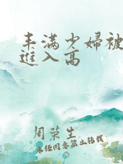 丰满少妇被猛烈进入高
