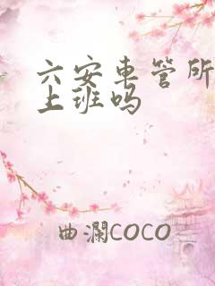 六安车管所周六上班吗