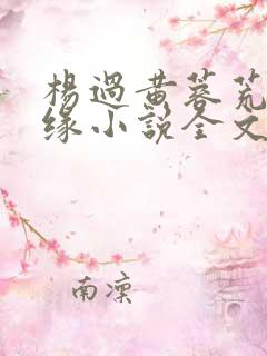 杨过黄蓉荒岛情缘小说全文