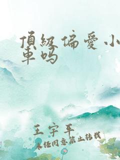 顶级偏爱小说有车吗