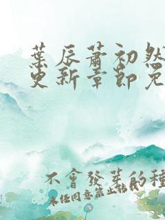 叶辰萧初然最新更新章节免费阅读笔趣阁
