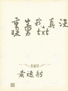 重生我真没想当暖男 txt