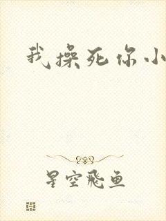 我操死你小骚货