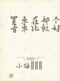 买车在哪个平台看车比较好呢