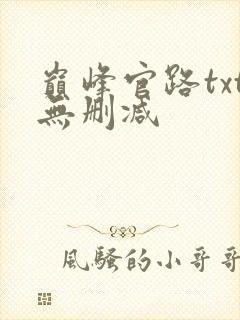 巅峰官路txt无删减