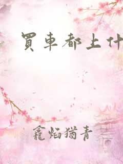 买车都上什么网 买车都上什么网