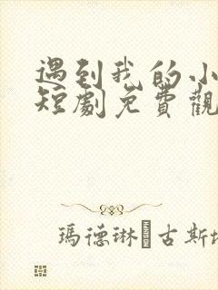 遇到我的小欢喜短剧免费观看