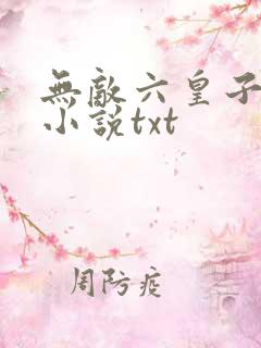 无敌六皇子云铮小说txt