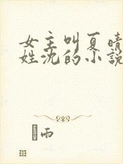 女主叫夏晴男主姓沈的小说