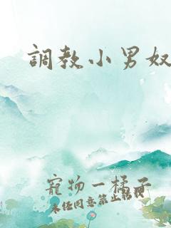 调教小男奴 调教小男奴