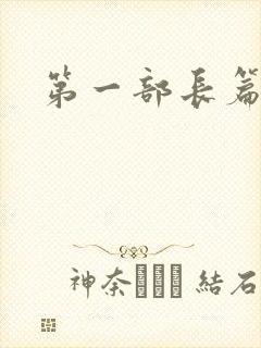 第一部长篇小说