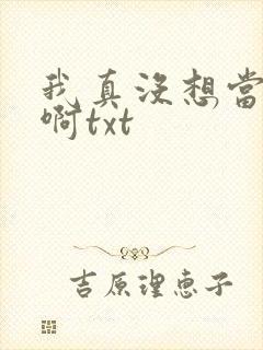 我真没想当反派啊txt