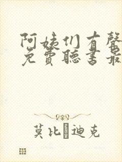 阿姨们有声小说免费听书最新章节