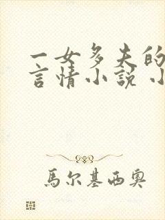 一女多夫的现代言情小说 小说