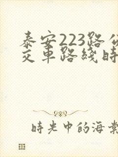 泰安223路公交车路线时间表
