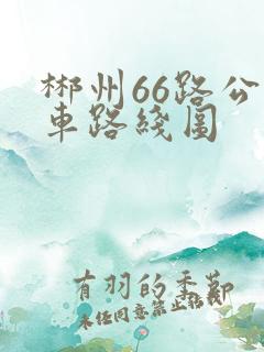 郴州66路公交车路线图