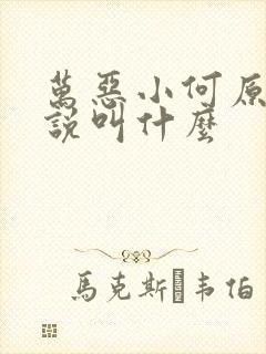 万恶小何原著小说叫什么