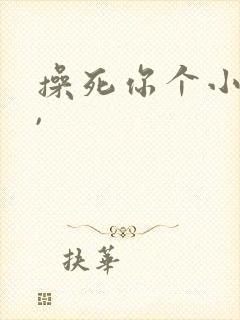 操死你个小骚货,