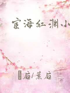 宦海红渊小说