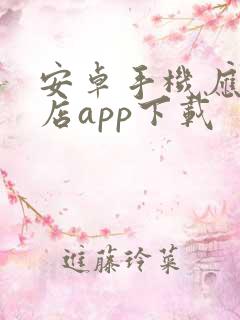 安卓手机应用商店app下载