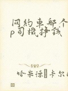 网约车哪个app司机挣钱