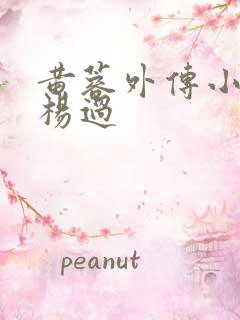 黄蓉外传小说和杨过