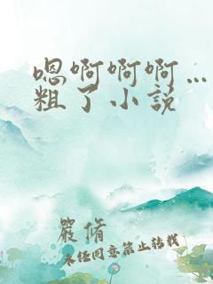 嗯啊啊啊……太粗了小说