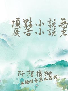 顶点小说无弹窗广告小说免费阅读