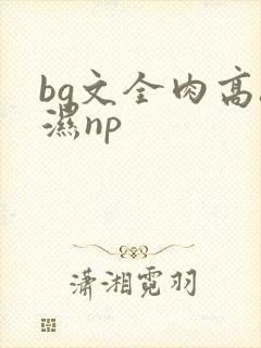 bg文全肉高h湿np
