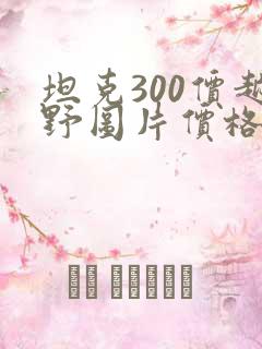 坦克300价越野图片价格