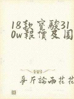 18款宝骏310w报价及图片
