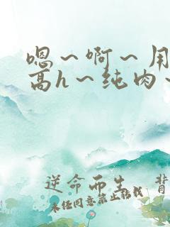嗯～啊～用力～高h～纯肉～男男