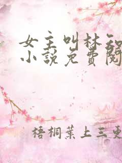 女主叫林知夏的小说免费阅读