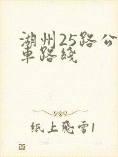 湖州25路公交车路线