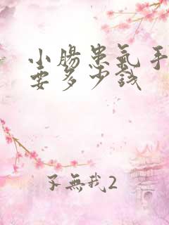 小肠患气手术需要多少钱 小肠患气手术需要多少钱