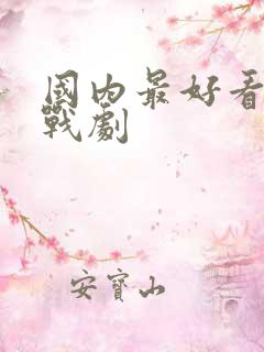 国内最好看的谍战剧