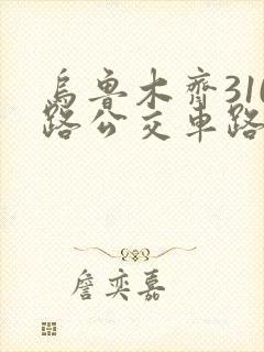 乌鲁木齐310路公交车路线图