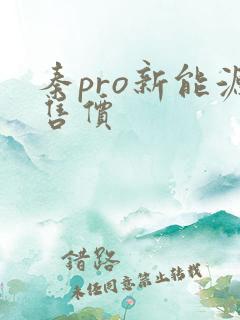 秦pro新能源售价
