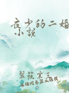 夜少的二婚新妻 小说