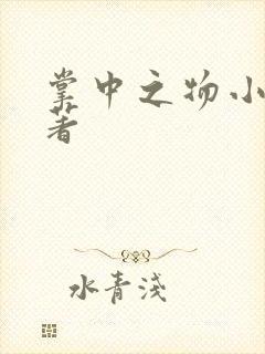 掌中之物小说原著