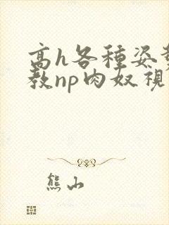 高h各种姿势调教np肉奴视频