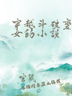 穿越斗破变身为女的小说