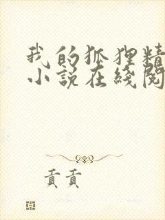 我的狐狸精后妈小说在线阅读