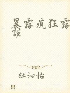 暴露疯狂露出小说