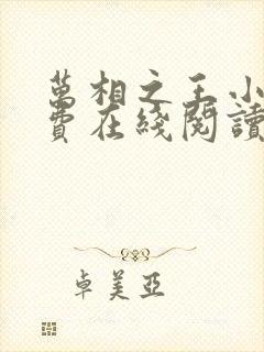 万相之王小说免费在线阅读完整版