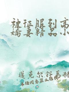被征服到高潮的娇妻精品小说