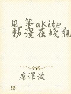 风筝akite动漫在线观看