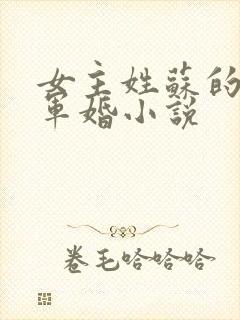 女主姓苏的重生军婚小说