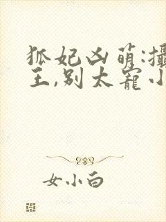 狐妃凶萌:摄政王,别太宠小说